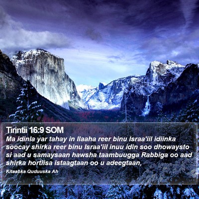 Tirintii 16:9 SOM Bible Verse Image