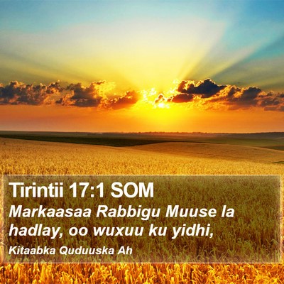 Tirintii 17:1 SOM Bible Verse Image