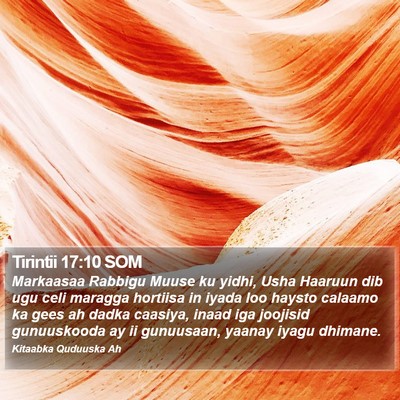 Tirintii 17:10 SOM Bible Verse Image