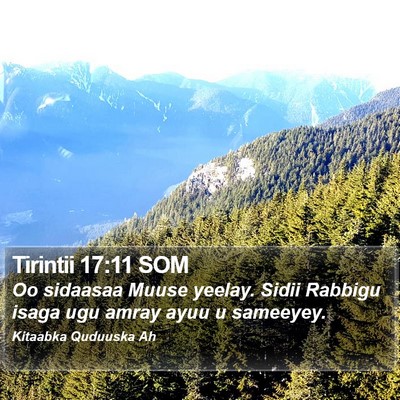 Tirintii 17:11 SOM Bible Verse Image
