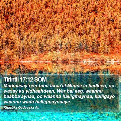 Tirintii 17:12 SOM Bible Verse Image