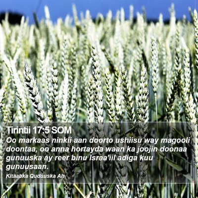 Tirintii 17:5 SOM Bible Verse Image