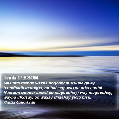 Tirintii 17:8 SOM Bible Verse Image