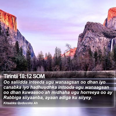 Tirintii 18:12 SOM Bible Verse Image