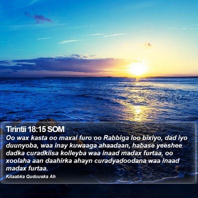 Tirintii 18:15 SOM Bible Verse Image