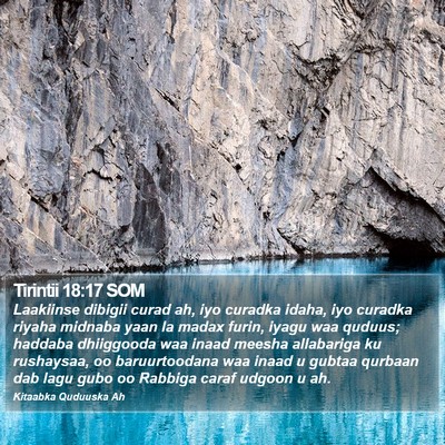 Tirintii 18:17 SOM Bible Verse Image