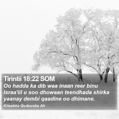 Tirintii 18:22 SOM Bible Verse Image