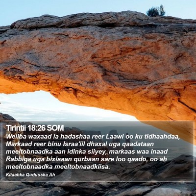 Tirintii 18:26 SOM Bible Verse Image