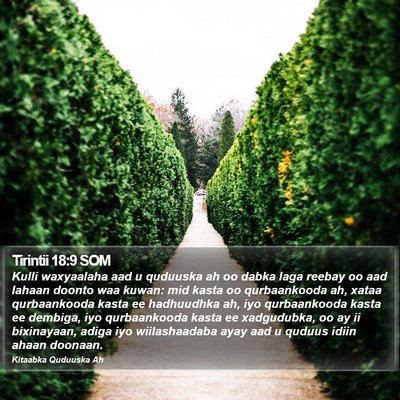Tirintii 18:9 SOM Bible Verse Image