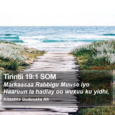 Tirintii 19:1 SOM Bible Verse Image