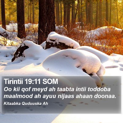 Tirintii 19:11 SOM Bible Verse Image