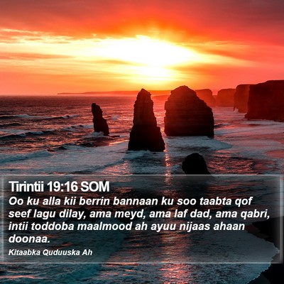 Tirintii 19:16 SOM Bible Verse Image