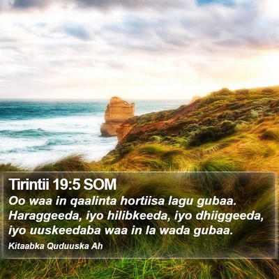 Tirintii 19:5 SOM Bible Verse Image