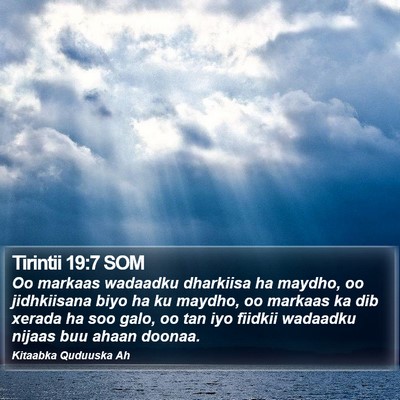 Tirintii 19:7 SOM Bible Verse Image