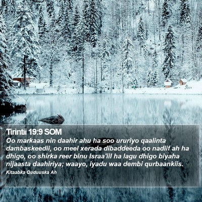 Tirintii 19:9 SOM Bible Verse Image
