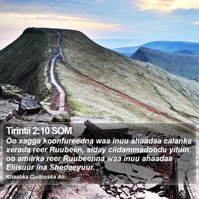 Tirintii 2:10 SOM Bible Verse Image