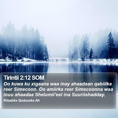 Tirintii 2:12 SOM Bible Verse Image