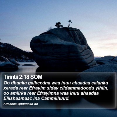 Tirintii 2:18 SOM Bible Verse Image