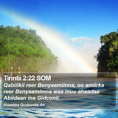Tirintii 2:22 SOM Bible Verse Image