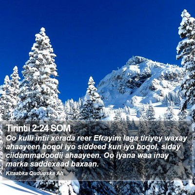Tirintii 2:24 SOM Bible Verse Image