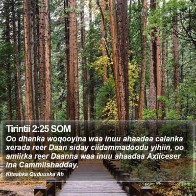 Tirintii 2:25 SOM Bible Verse Image