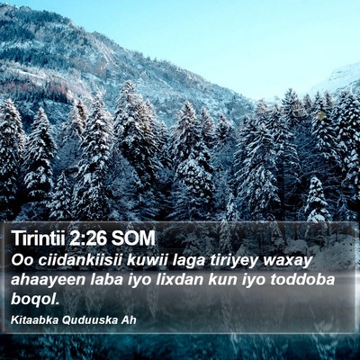 Tirintii 2:26 SOM Bible Verse Image