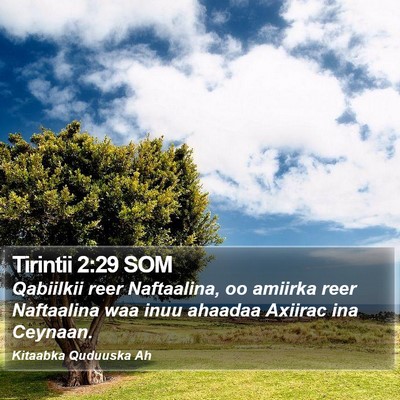 Tirintii 2:29 SOM Bible Verse Image