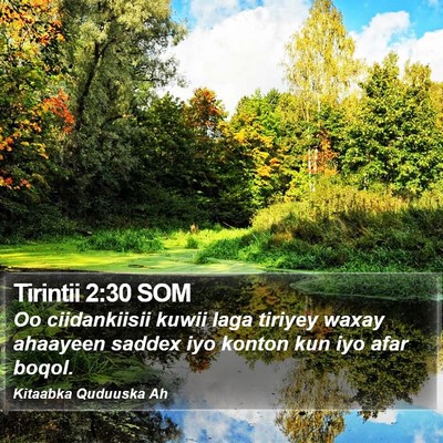 Tirintii 2:30 SOM Bible Verse Image