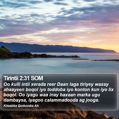 Tirintii 2:31 SOM Bible Verse Image