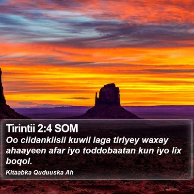 Tirintii 2:4 SOM Bible Verse Image