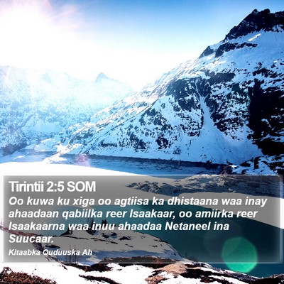 Tirintii 2:5 SOM Bible Verse Image