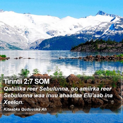 Tirintii 2:7 SOM Bible Verse Image