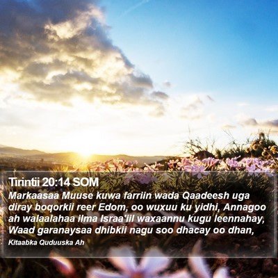 Tirintii 20:14 SOM Bible Verse Image
