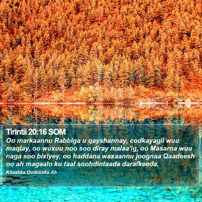 Tirintii 20:16 SOM Bible Verse Image