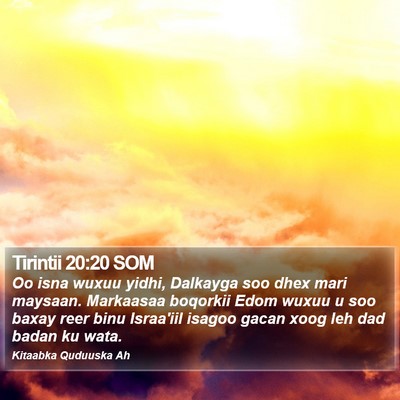 Tirintii 20:20 SOM Bible Verse Image
