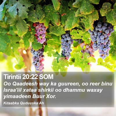 Tirintii 20:22 SOM Bible Verse Image