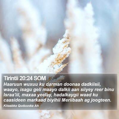 Tirintii 20:24 SOM Bible Verse Image