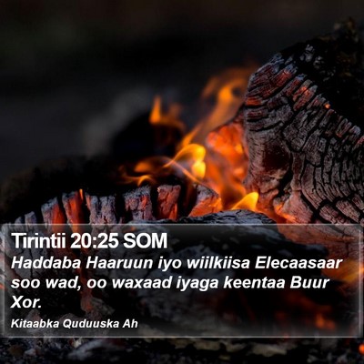 Tirintii 20:25 SOM Bible Verse Image