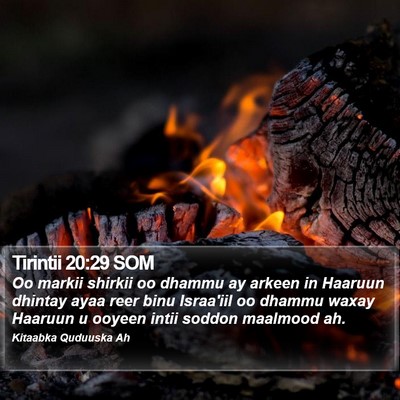 Tirintii 20:29 SOM Bible Verse Image