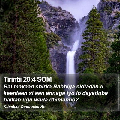 Tirintii 20:4 SOM Bible Verse Image