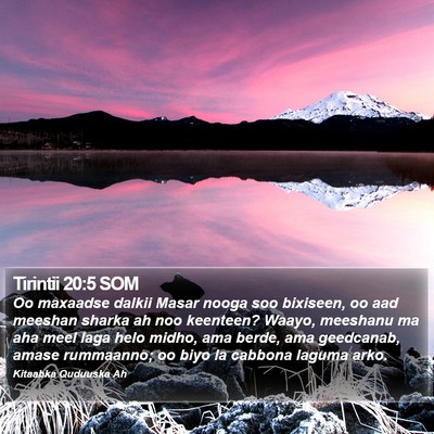 Tirintii 20:5 SOM Bible Verse Image