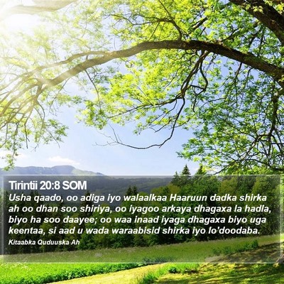 Tirintii 20:8 SOM Bible Verse Image