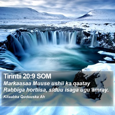 Tirintii 20:9 SOM Bible Verse Image