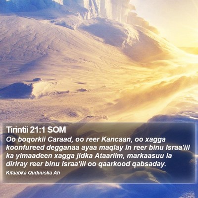 Tirintii 21:1 SOM Bible Verse Image