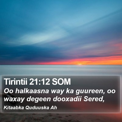 Tirintii 21:12 SOM Bible Verse Image
