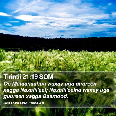Tirintii 21:19 SOM Bible Verse Image