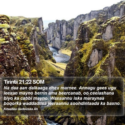 Tirintii 21:22 SOM Bible Verse Image