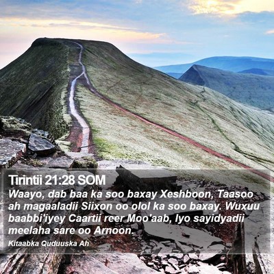 Tirintii 21:28 SOM Bible Verse Image