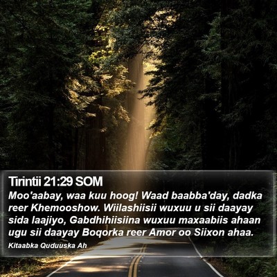Tirintii 21:29 SOM Bible Verse Image