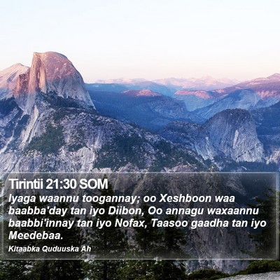 Tirintii 21:30 SOM Bible Verse Image